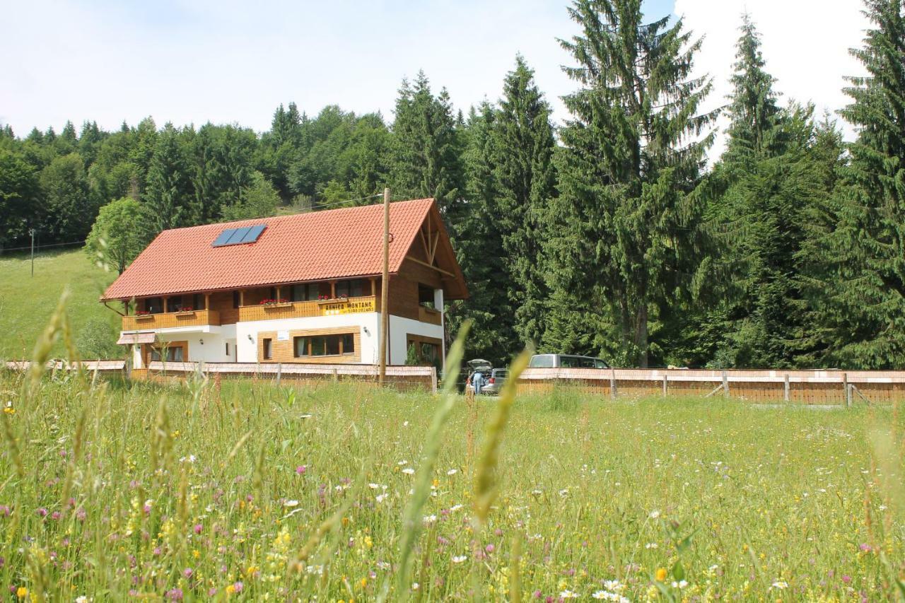 ホテル Arnica Montana Arieşeni エクステリア 写真