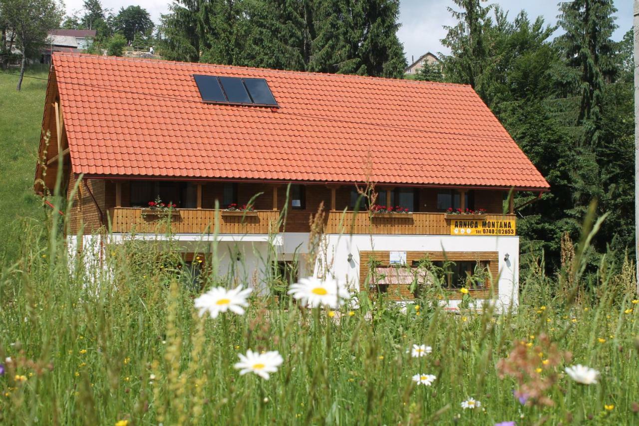 ホテル Arnica Montana Arieşeni エクステリア 写真
