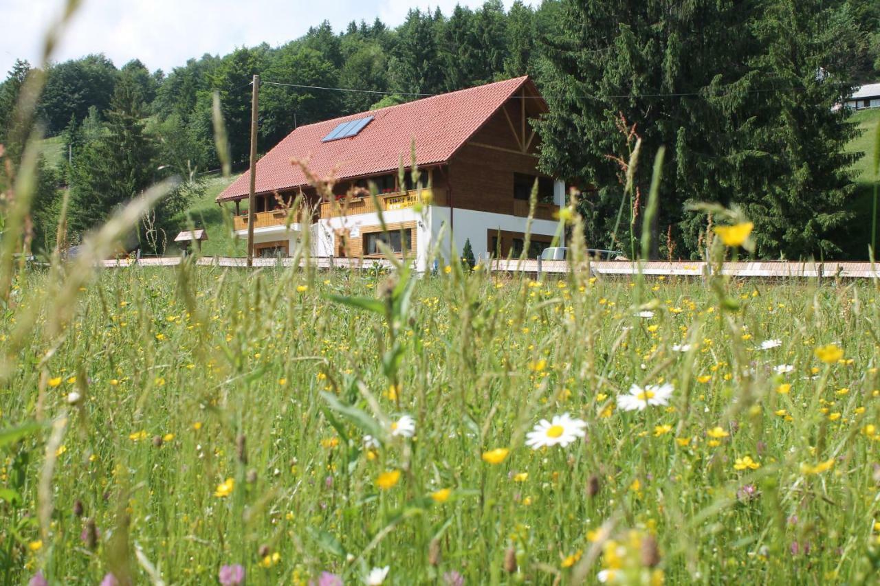 ホテル Arnica Montana Arieşeni エクステリア 写真